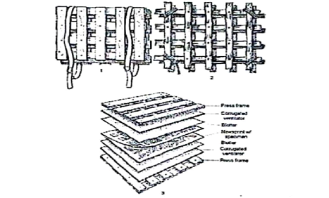 image_2025-04-19_092536099